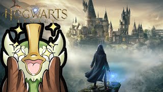 Hogwarts Legacy Deutsch Lets Play 10 Fantastische Tierwesen [upl. by Longtin]