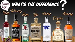 Difference between Alcoholic Beverages WineWhiskeyRumGinVodkaTequilaBrandyAlcohol percentage [upl. by Michaeline]