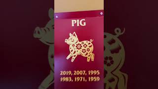 Chinese New Year 2024 Horoscope  Pig Zodiac lucky lunarnewyear zodiac yearofthedragon [upl. by Sucul]