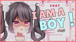 New Shark VTuber Moenaomii is a boy Moenaomii Debut Stream Highlights [upl. by Nedra576]