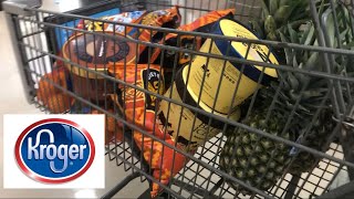 Quick Kroger haul  Shopping Sale Items [upl. by Munn]