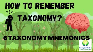 6 ways to remember taxonomic hierarchy  Taxonomy  Biology Mnemonic in Hindi  Biology short tricks [upl. by Elbring]