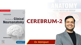 Neuroanatomy  Cerebrum Part  2 For Mbbs 1st Proff By Dr Abhijeet [upl. by Leugimesoj]