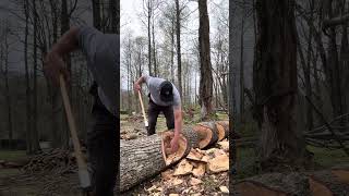 If your thinking of axe bucking sweet gum watch this video [upl. by Nevyar]