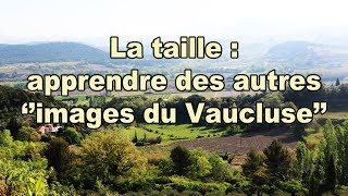 Verger Exemples de taille dans le Vaucluse [upl. by Kort]