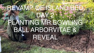 REVAMP OF ISLAND BED DAY 2 PLANTING MR BOWLING BALL ARBORVITAE AND THE REVEAL🌞 [upl. by Nauqahs]