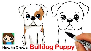 How to Draw an American Bulldog Puppy Easy 🦴❤️ [upl. by Durston]