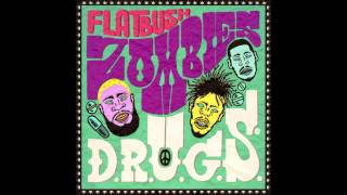 Flatbush Zombies  SCOSA Prod By Erick Arc Elliott [upl. by Slaby493]