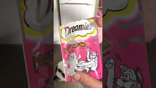 cattreats dreamies cats [upl. by Adnole]