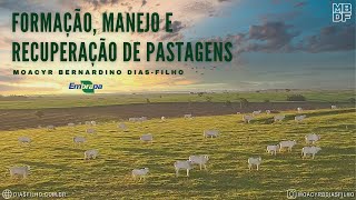 Formação manejo e recuperação de pastagens [upl. by Yrtneg]