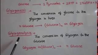 Metabolism of carbohydrate part 1 [upl. by Laon]