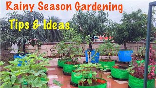 Rainy Season Gardening Tips amp Ideas  Plants Care In Rainy Season [upl. by Dal]