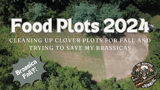 Food Plot Chores August 2024 [upl. by Daeriam]