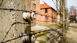 A Tour Of Auschwitz 1 amp 2 January 2024 [upl. by Eiramacissej]