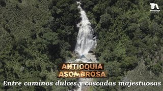 Antioquia Asombrosa Campamento entre caminos dulces y cascadas majestuosas  Teleantioquia [upl. by Amitak]