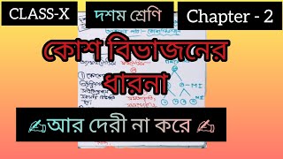 CLASS  10💥 Chapter2📚 concept about✍️cell division 🌻💐in bangla 💯 [upl. by Tillman]