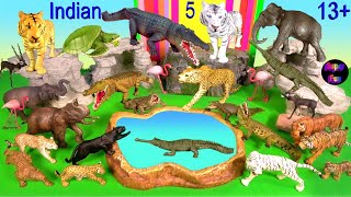 Indian Animals Tiger Elephant Crocodile Leopard Gharial Turtle Blackbuck Nilgai Mugger Crocodile 13 [upl. by Abell29]