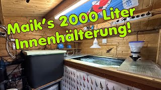 Maik‘s mehrfach umgebaute 2000 Liter Innenhälterung [upl. by Nwahsak]