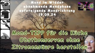 MondTIPP für die Küche Obstkonserven ohne Zitronensäure herstellen [upl. by Drue]