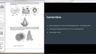 Thema 7  Exocriene en endocriene klieren [upl. by Meara122]