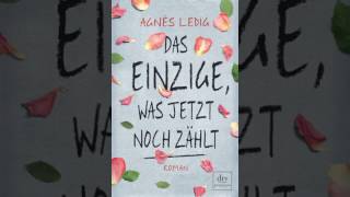 Das Einzige was jetzt noch zählt von Agnès Ledig Roman Hörbuch [upl. by Airda433]