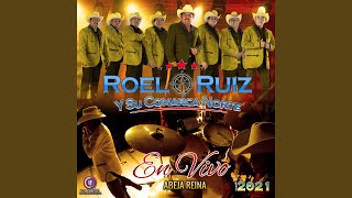 Cumbia del Rio En Vivo [upl. by Einnel]