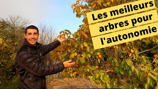 😍🍒🍏🍇Les meilleurs arbres fruitiers pour lautonomie😍🍒🍏🍇 [upl. by Riek]