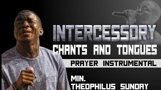 Theophilus Sunday  Intercessory Chants amp Tongues  One Hour Loop Prayer Instrumental [upl. by Enimrej]