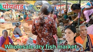 पोयनाड होलसेल मच्छी मार्केट  poyanad dry fish market dry fish 🐟 alibaug bajar wholesale market [upl. by Teillo]