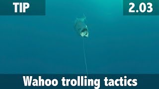 Wahoo trolling tactics [upl. by Gnex959]