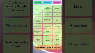 Fate of germ layers of embryo shorts lifescience biology neetbiology [upl. by Ardnahsal]