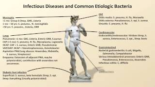 Bacterial Etiologies of Common Infections Antibiotics  Lecture 2 [upl. by Ferne]