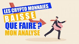 Le marché de la cryptomonnaie tombe que faire  mon analyse 🔥 [upl. by Aamsa73]