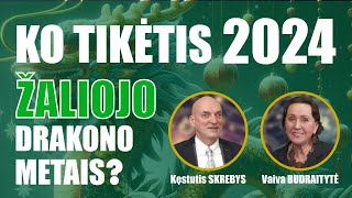 Laidoje „Prie arbatos su Kęstučiu Skrebiu“  charizmatiškoji astrologė Vaiva Budraitytė [upl. by Redliw]