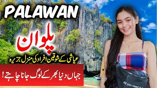 Travel To Palawan  Full History And Documentary About Palawan Island  پلوان کی سیر [upl. by Mutz]