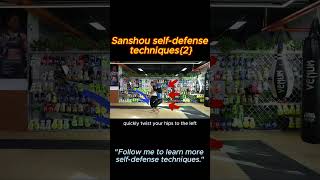 Sanshou selfdefense techniques（2）sanshou usandalwood kungfu boxing bjj chinese tomcruise [upl. by Nnaytsirk]