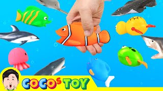 Catching animals in streamsㅣsea animals cartoon for kidsㅣCoCosToy [upl. by Trilly]