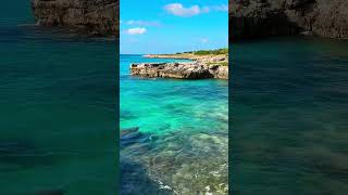 Malmok Beach Vibes 🥳 subscribe beach travel beachlife aruba ytshorts vacation [upl. by Copeland]