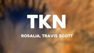 TKN  Rosalia Travis Scott Lyrics Version [upl. by Dammahum587]