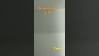 Tarantella piano bastien [upl. by Friedly]