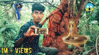 Entering Endoscopic Camera 📽️ Into Snake 🐍House 🤯 Shocking Result 🤔 mrnandhu [upl. by Surtimed]