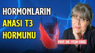 Hormonların Anası T3 Hormunu  Tiroid Hormonları Nedir ve Nasıl Çalışır [upl. by Occor]