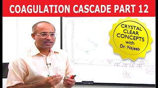 Coagulation Cascade  Part 1212 [upl. by Freudberg562]