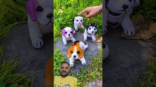 Alibaba cool items 😱😱😱 trend toys dog alibabaitems toys puppy trending [upl. by Etem]