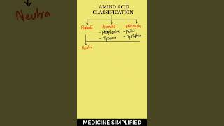 Amino Acids Classification  Classification of Amino Acids  Amino Acids biochemistry [upl. by Santos]