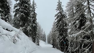 Ouverture de nombreuses stations de ski en Savoie [upl. by Sorazal148]