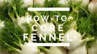 HowTo Core Fennel [upl. by Dachy]