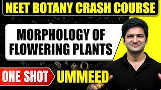 MORPHOLOGY OF FLOWERING PLANTS in 1 Shot All Concepts Tricks amp PYQs  NEET Crash Course  Ummeed [upl. by Trinatte954]