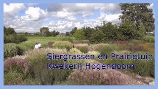 Siergrassen en Prairietuin Hogendoorn 0416  69 21 21 [upl. by Negrom]