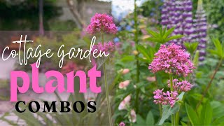 Cottage Garden Planting Combinations  Perennial Garden [upl. by Hawker]